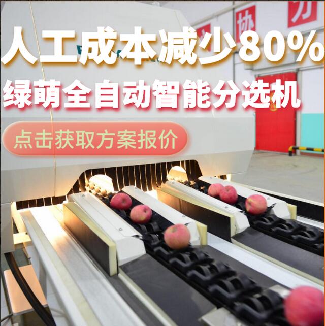 綠萌是水果智能分選設(shè)備國家高新技術(shù)企業(yè),對水果采后處理提供全套解決方案。綠萌水果分選機(jī)可進(jìn)行大小重量分級、外觀顏色分選、內(nèi)部品質(zhì)糖度檢測。提供全自動水果分選設(shè)備,水果選果機(jī),智能水果分選機(jī),全自動水果分選機(jī),水果分級機(jī),小型水果分選機(jī)，水果分級機(jī),水果稱重分選機(jī),水果重量分選機(jī),水果大小分選機(jī),水果顏色分選機(jī),水果糖度分選機(jī),配套水果清洗機(jī)、水果洗果保鮮機(jī)、水果包裝機(jī)、水果消毒滅菌殺菌機(jī),水果打蠟機(jī)。更多水果分選方案報價,小型水果選果設(shè)備價格、水果分級機(jī)怎么樣、口碑好質(zhì)量好的水果選果機(jī)、了解高性能水果分選機(jī)多少錢,咨詢客服免費(fèi)獲取