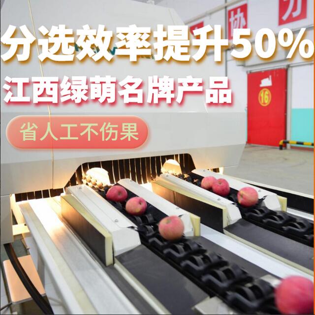 綠萌是水果智能分選設(shè)備國家高新技術(shù)企業(yè),對水果采后處理提供全套解決方案。綠萌水果分選機(jī)可進(jìn)行大小重量分級、外觀顏色分選、內(nèi)部品質(zhì)糖度檢測。提供全自動水果分選設(shè)備,水果選果機(jī),智能水果分選機(jī),全自動水果分選機(jī),水果分級機(jī),小型水果分選機(jī)，水果分級機(jī),水果稱重分選機(jī),水果重量分選機(jī),水果大小分選機(jī),水果顏色分選機(jī),水果糖度分選機(jī),配套水果清洗機(jī)、水果洗果保鮮機(jī)、水果包裝機(jī)、水果消毒滅菌殺菌機(jī),水果打蠟機(jī)。更多水果分選方案報價,小型水果選果設(shè)備價格、水果分級機(jī)怎么樣、口碑好質(zhì)量好的水果選果機(jī)、了解高性能水果分選機(jī)多少錢,咨詢客服免費(fèi)獲取